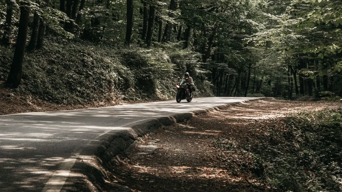 Routes ombragées : le guide pour l'été